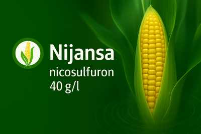 Nicosulfuron 40 g/l