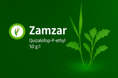 Quizalofop-P-ethyl 50 g/l