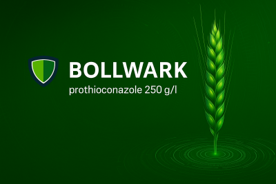 Prothioconazole 250 g/l