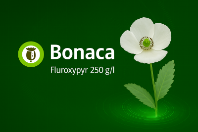 Fluroxypyr s registrací do máku